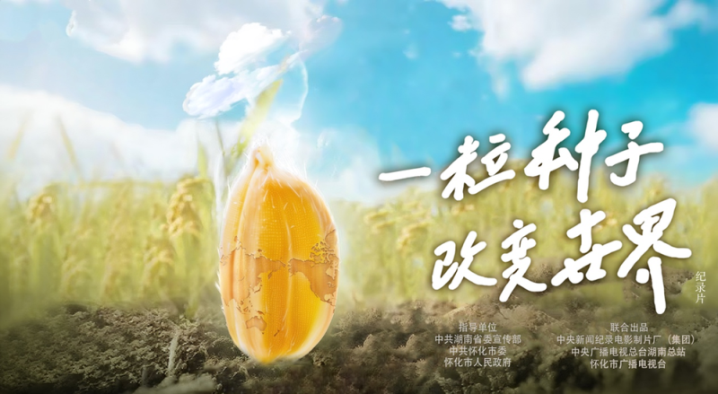 稻浪千里 禾下苍穹丨纪录片《一粒种子改变世界》即将播出