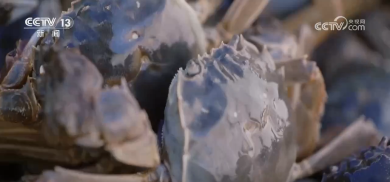 沙漠“盲盒”开出美味物产 解锁“死亡之海”背后的绿色密码