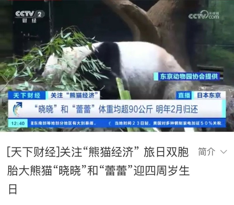 日本，马上没有大熊猫了！