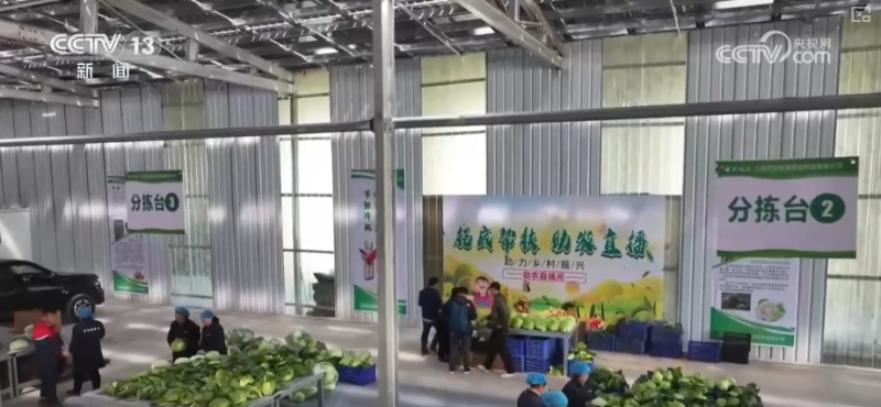 6000万人次、43.7%,旺盛!“数”里行间解码提质扩容稳就业“成色”↓