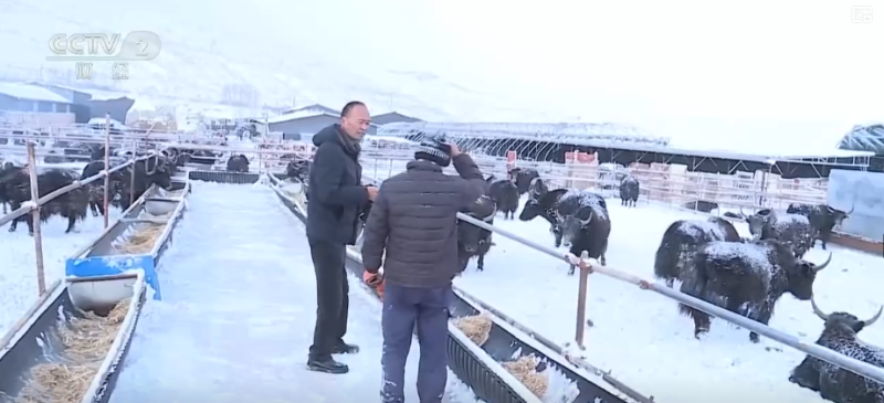 清扫、巡逻、走访……各部门协力应对风雪 保障道路畅通与群众生产生活