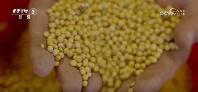 中美就扩大农产品贸易达成共识 美国豆农如释重负