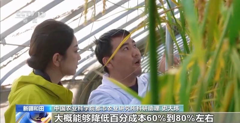 从“死亡之海”到“水产绿洲” 解锁新疆“点沙成金”的密码→