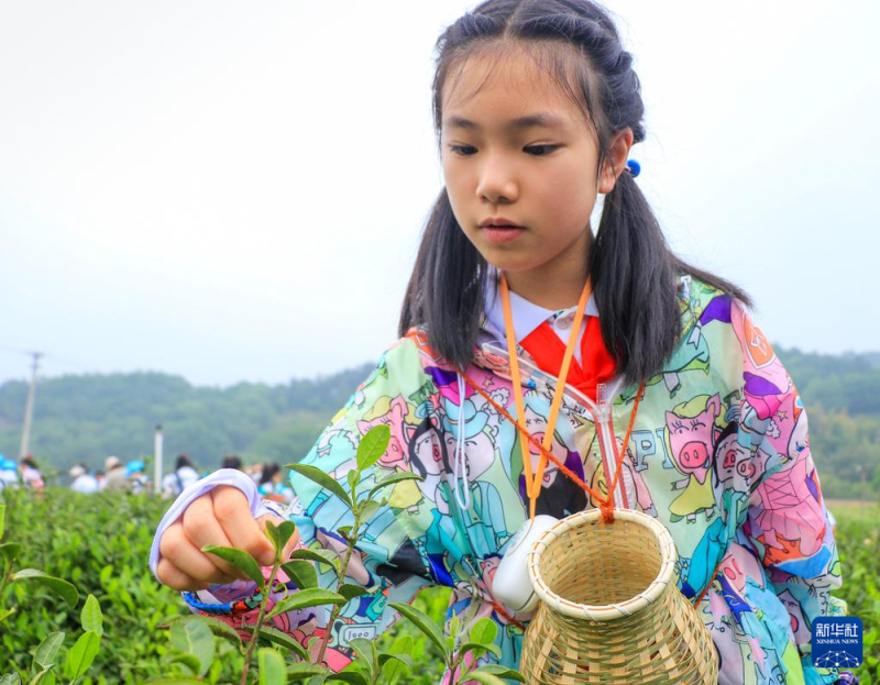 中国经济样本观察・县域样本篇丨从“养在深闺”到惊艳世人――揭秘庐江之变的密码