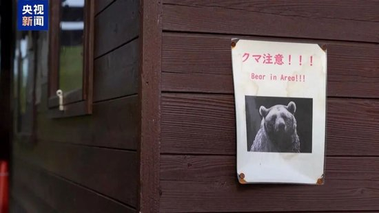 日本“熊灾”有多严重？连自卫队都出动打熊了！