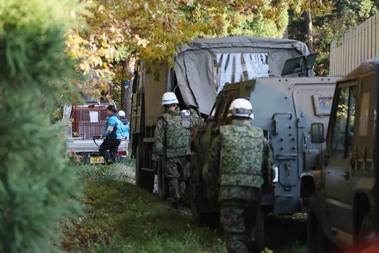 日本“熊灾”有多严重？连自卫队都出动打熊了！