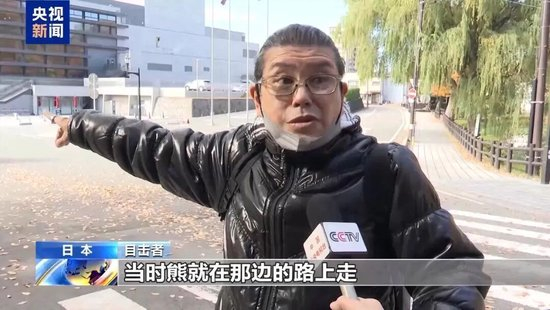 日本“熊灾”有多严重？连自卫队都出动打熊了！