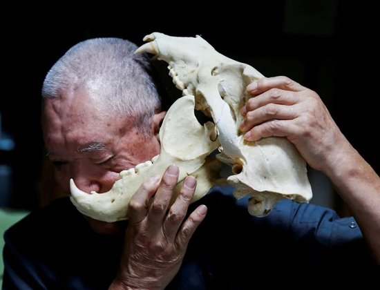 日本“熊灾”有多严重？连自卫队都出动打熊了！