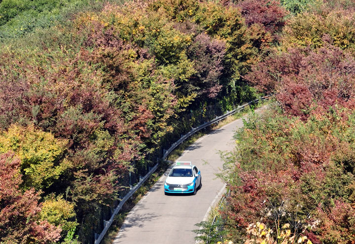 推进社会治理现代化走深走实――各地学习贯彻党的二十届四中全会精神见闻