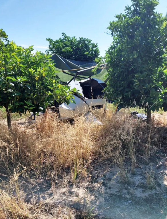 43岁女星，坠机身亡