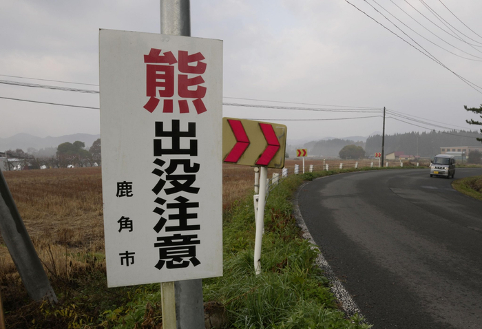 日本“熊出没”已致13人身亡，创历史新高