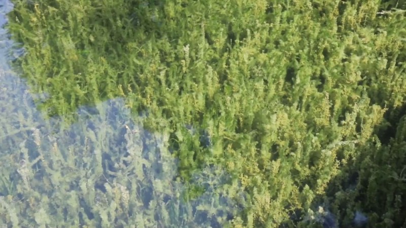 新华视点｜中部地区贯彻落实四中全会精神 以高质量发展书写中部崛起新篇章