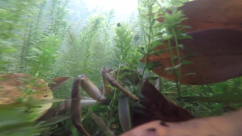 新华视点｜中部地区贯彻落实四中全会精神 以高质量发展书写中部崛起新篇章