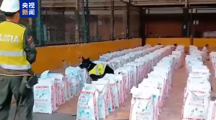 哥伦比亚查获近十年最大宗毒品案 价值超3亿美元