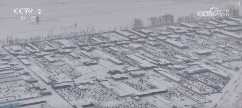 清扫、巡逻、走访……各部门协力应对风雪 保障道路畅通与群众生产生活