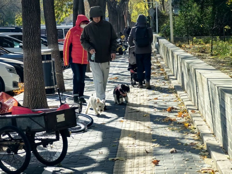 寒潮来袭、大风呼啸,如何应对?