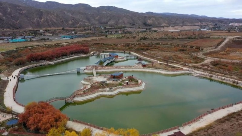 新华视点丨乡村振兴路 绿色富民图