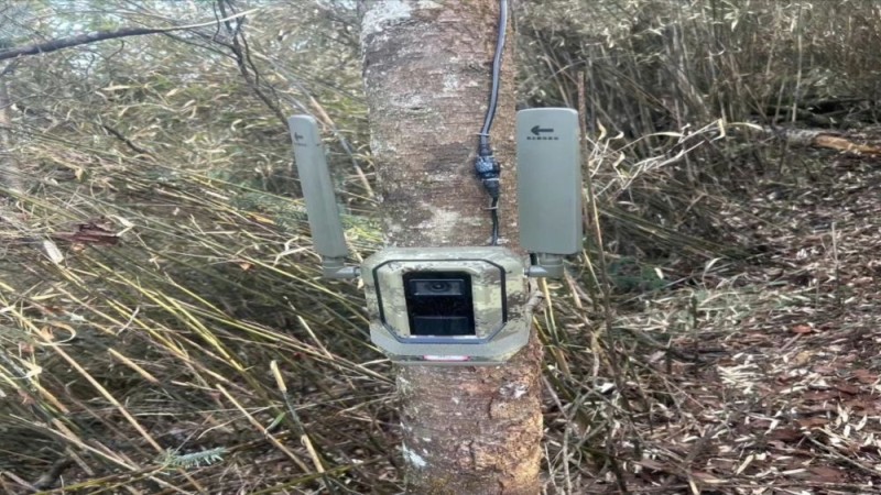 新华视点｜生态绘新卷 各地绘就绿色发展好风光