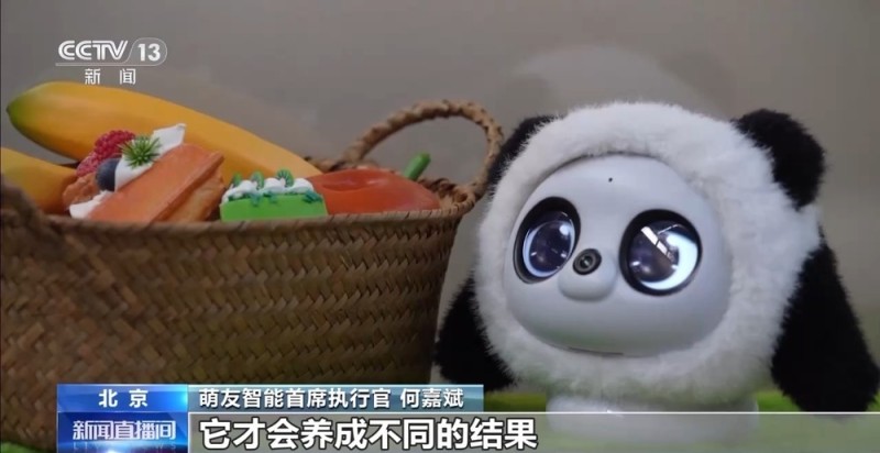 AI宠物、AI眼镜……“科技+”如何改变日常生活?