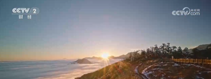 彩林温泉、观赛旅游、候鸟游客……热门新IP激活冬季文旅消费新“密码”