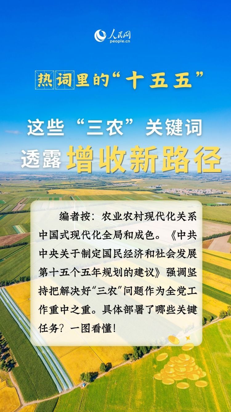 热词里的“十五五”丨这些“三农”关键词，透露增收新路径