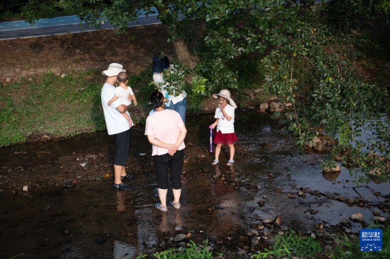 中国经济样本观察・县域样本篇丨从“养在深闺”到惊艳世人――揭秘庐江之变的密码