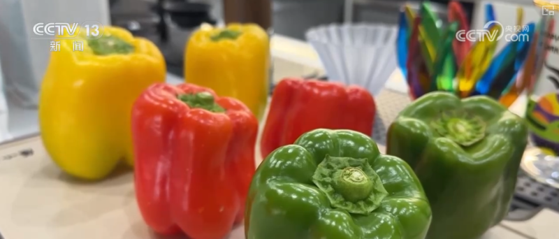 “冰雪+”跨界上“新”激活消费热力 “小而美”融合产品成文旅升级“大亮点”