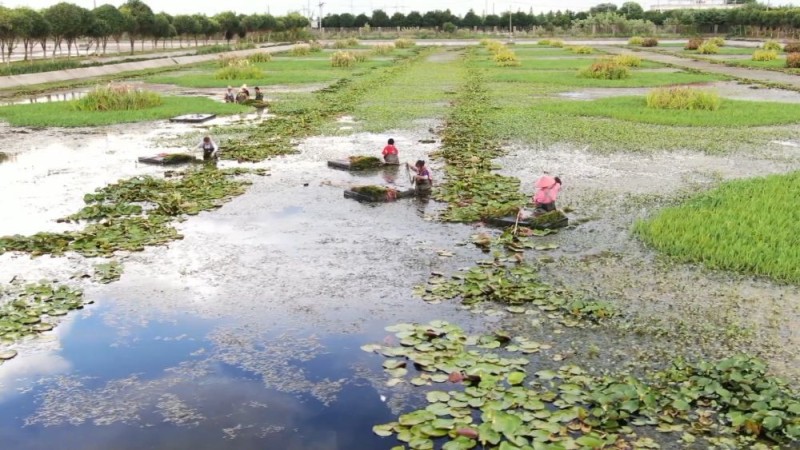 新华视点｜中部地区贯彻落实四中全会精神 以高质量发展书写中部崛起新篇章