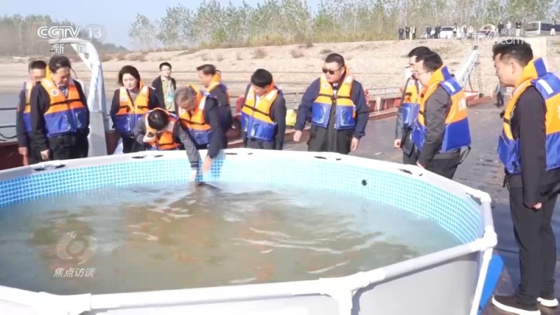 焦点访谈 | 推进长江生态保护工作 留住江豚的“微笑”