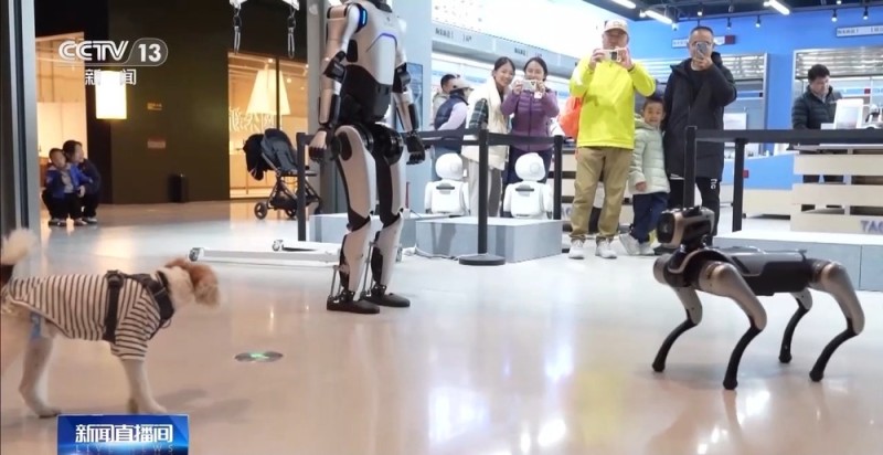 AI宠物、AI眼镜……“科技+”如何改变日常生活?