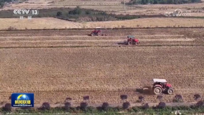 全国秋冬种加紧推进 冬小麦播种近七成