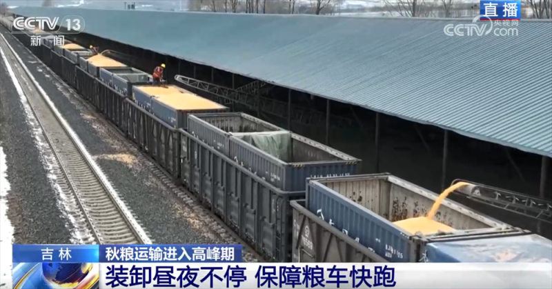 “铁海联运”“黄金水道”按下秋粮运输“加速键” 为全国粮食安全筑牢坚实屏障