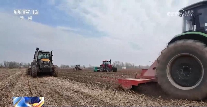 全国冬小麦播种过八成 粮食主产区有力推进秋冬种