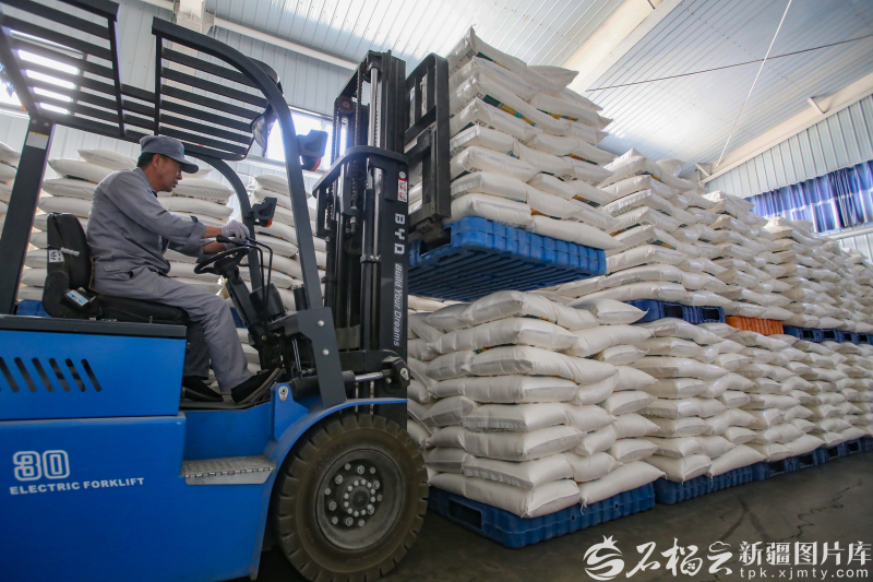 奋进的新疆・我们的“十四五”丨从“自己吃饱”到供给国家