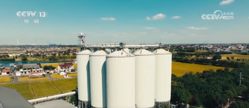 机器人上阵、强化服务……各地多措并举护航秋粮收购“加速跑”