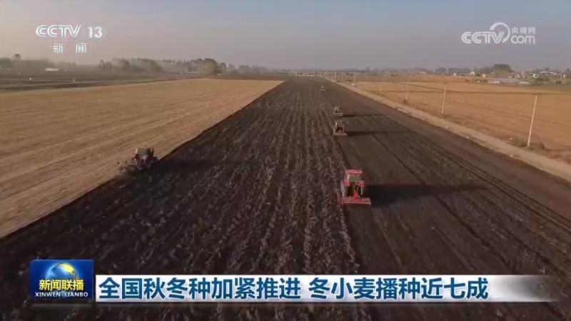 全国秋冬种加紧推进 冬小麦播种近七成