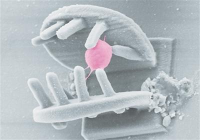 中国科学院团队打造3D手型微纳机器人――“手到擒来”的微观“快递员”