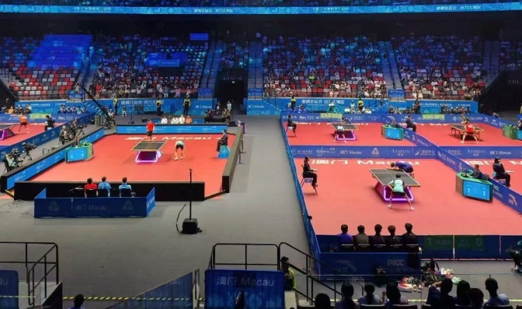 从全运赛场到经济主场,解码广东体育经济新范式