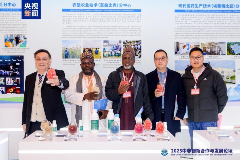2025中非创新合作与发展论坛在武汉开幕