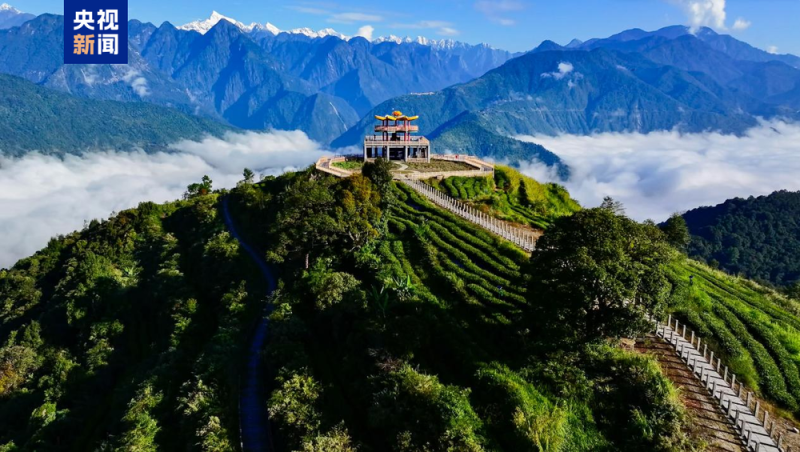 第二次青藏科考发布十大应用成果