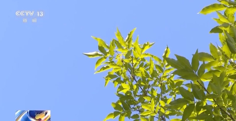 视频丨“吸毒记录等将被封存”引热议 专家：记录封存≠风险隐身