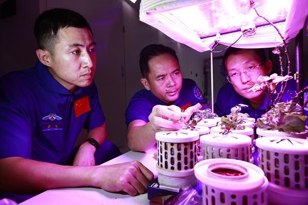 航天员武飞：从草原到星海的追梦者