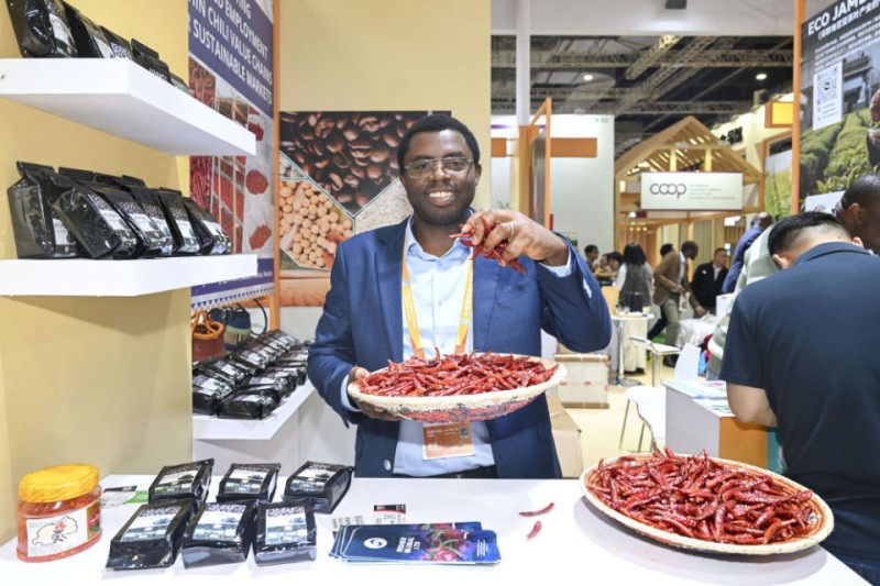 声动进博：从文化之声感受美美与共