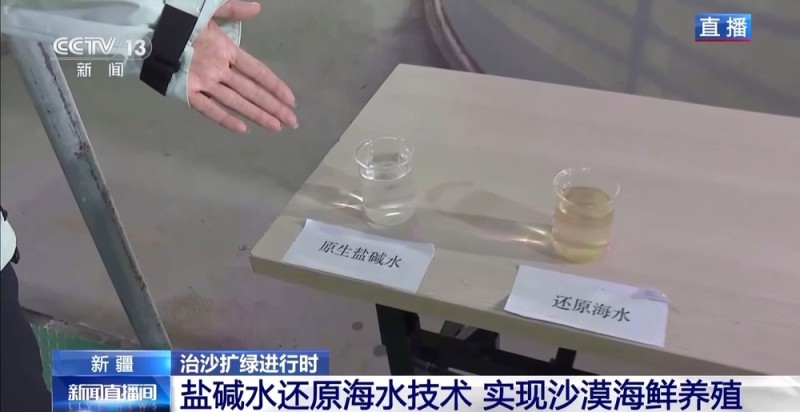 沙漠里如何养海鲜?解锁塔克拉玛干沙漠的水产养殖密码