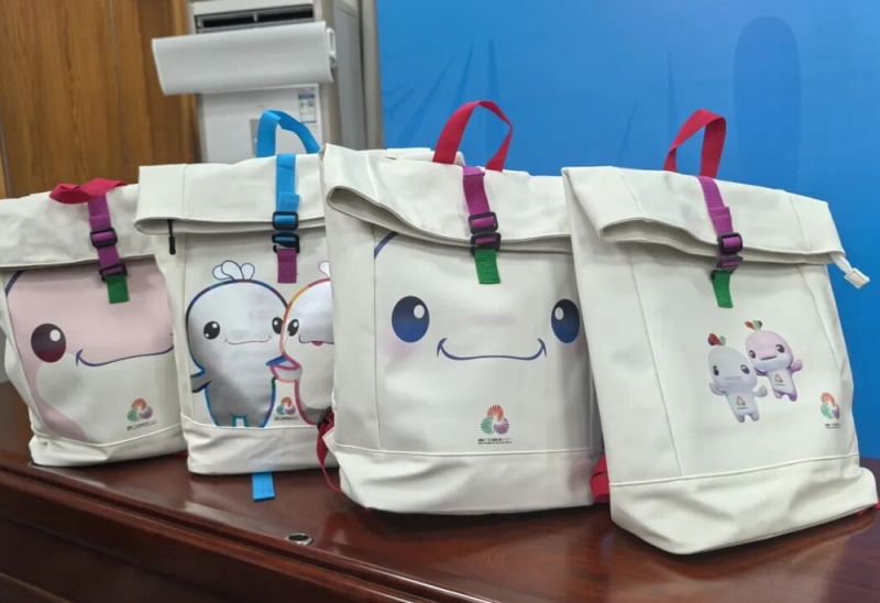 全运会“显眼包”火出圈，里面装了啥？揭秘→