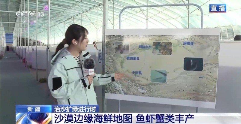 沙漠里如何养海鲜?解锁塔克拉玛干沙漠的水产养殖密码