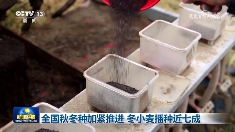 全国秋冬种加紧推进 冬小麦播种近七成