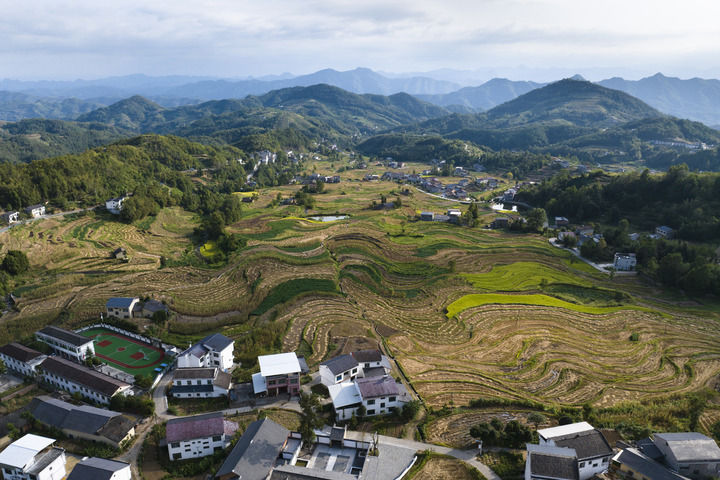 守护悠悠文脉 探寻“何以中国”――陕西推动文物保护与活化利用新观察