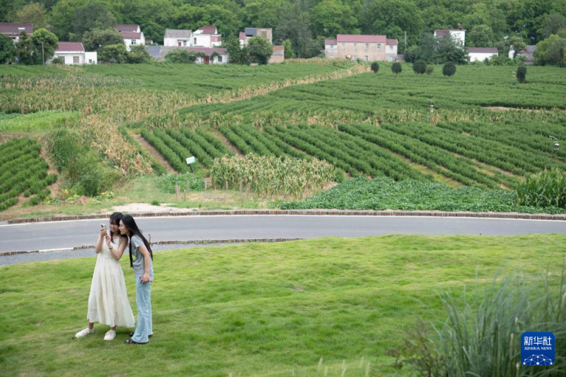 中国经济样本观察・县域样本篇丨从“养在深闺”到惊艳世人――揭秘庐江之变的密码