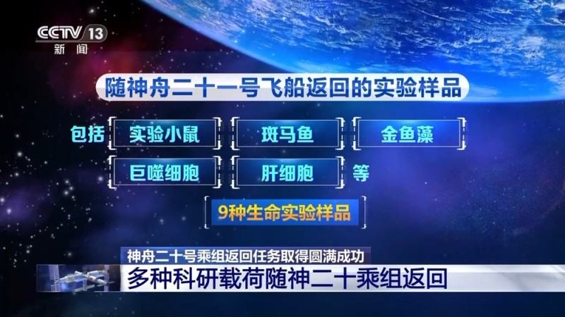 实验小鼠、斑马鱼、金鱼藻等 多种科研载荷随神二十乘组返回